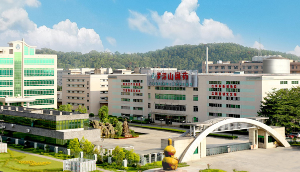 广东罗浮山国药股份有限公司